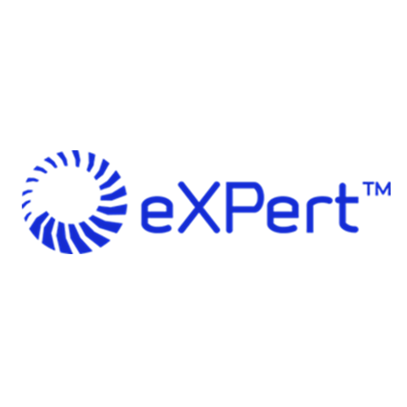 HISTORY - SDI dal 1973