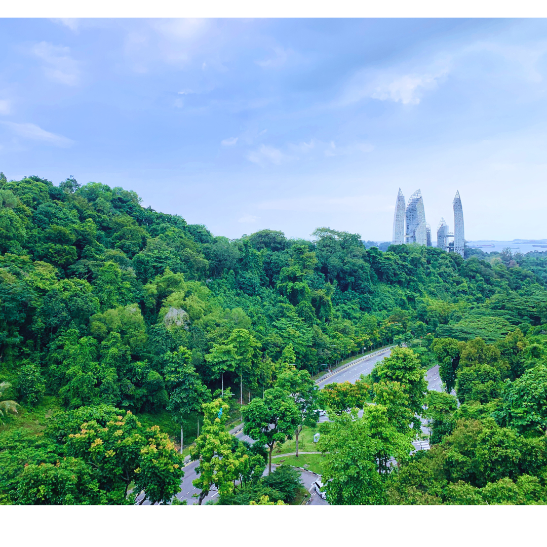 Etica e certificazioni