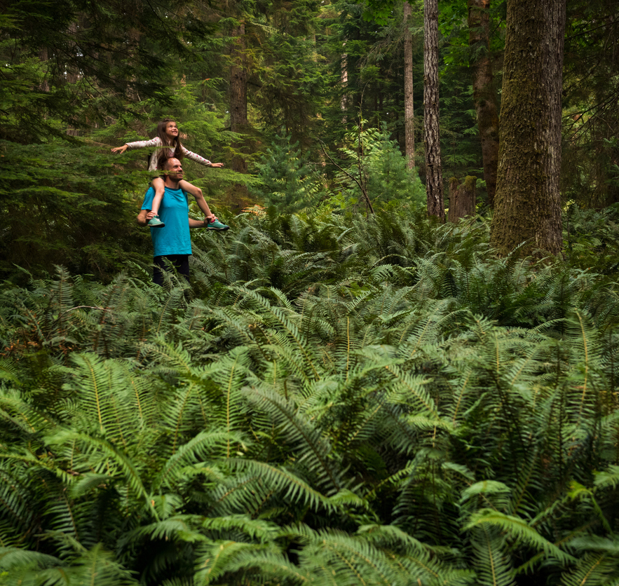 Progresso sostenibile